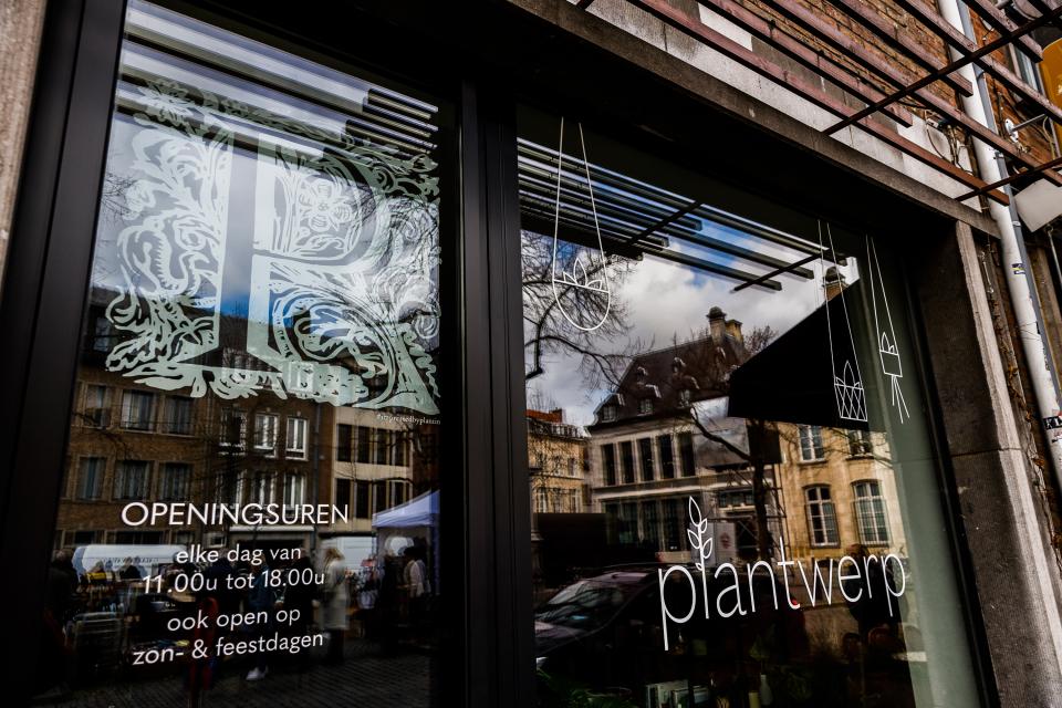 Impressed by Plantin: Plantin in de etalage