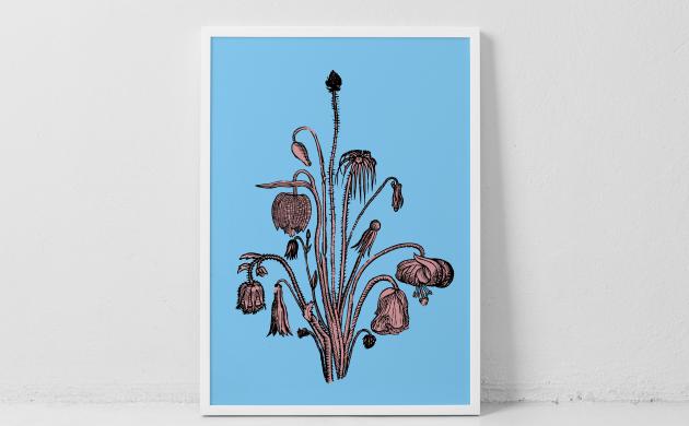 The Print Project - Print Daan Gielis The Print Project - Print Daan Gielis